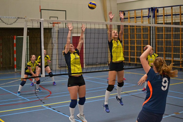 Winst volleybal dames 3 tegen koploper mintonette 