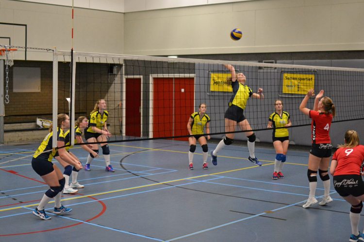 Volleybaldames 3 pakt de volle winst mintonette 