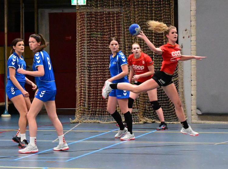 Wijhe te sterk voor Holtense handbaldames 