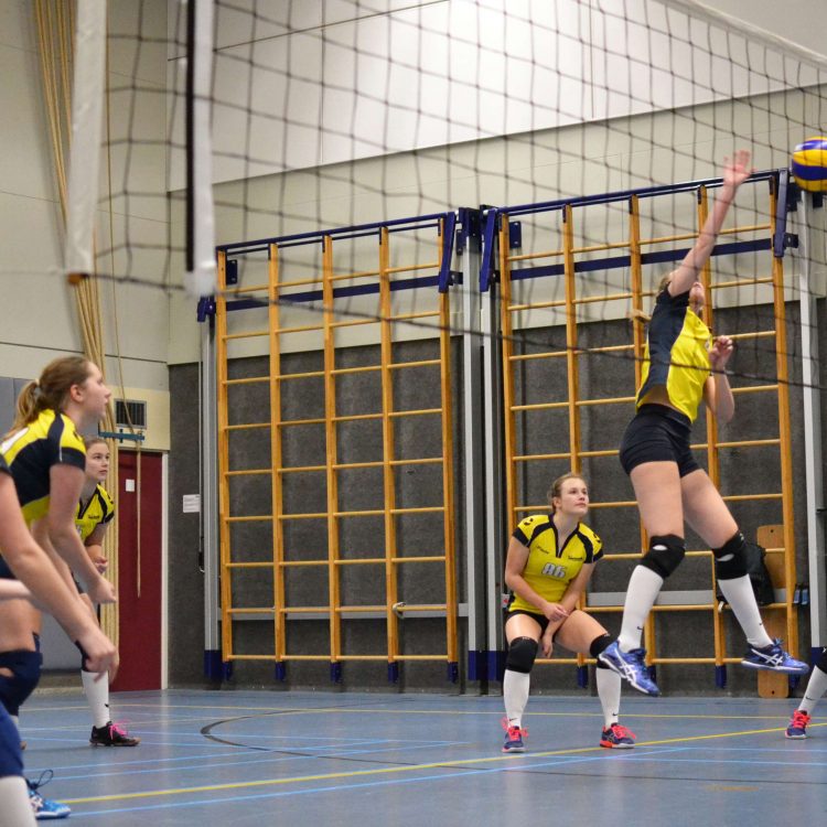 Dames 3 volleybal winterkampioen mintonette 