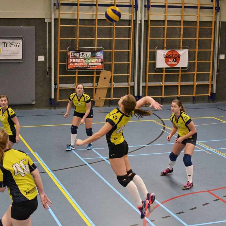 Focus bij Mintonette dames 3 mintonette 