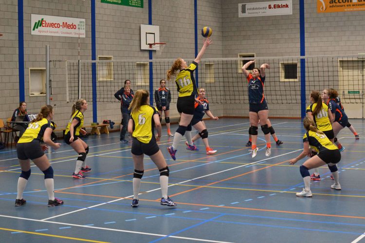 Volleybal dames 3 wint overtuigend mintonette 