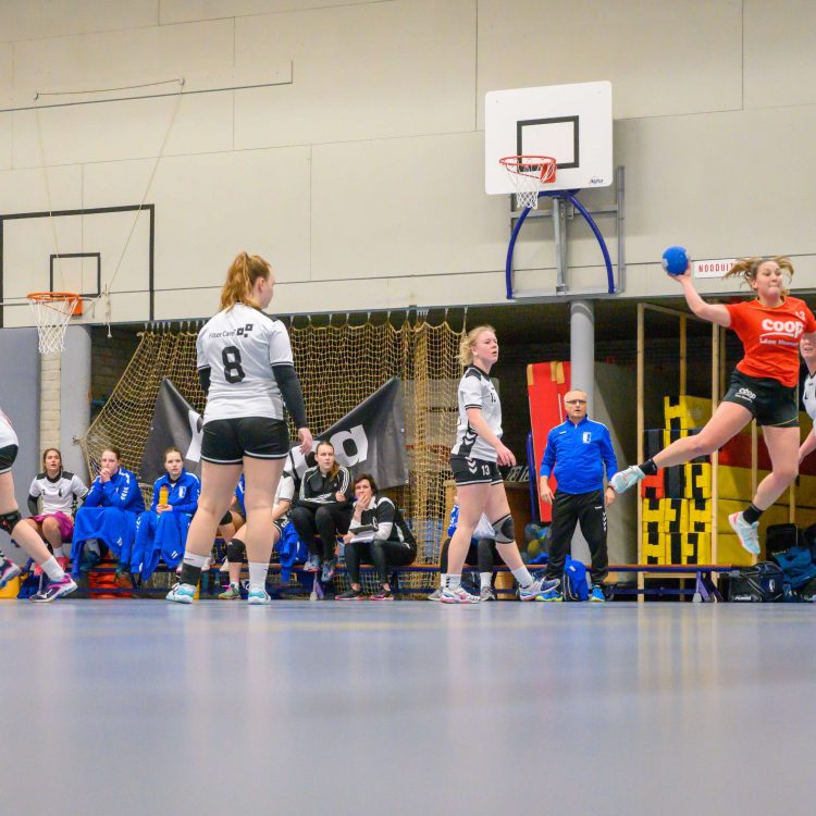 Holtense handbaldames zetten zegereeks in 2020 voort! 