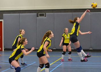 Volleybal dames 3 wint overtuigend mintonette 