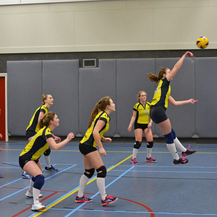 Duidelijke overwinning volleybalbal dames 3 mintonette 