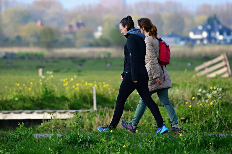 Maatjes gezocht in Rijssen en Holten 