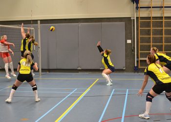 Volleybal dames 3 wint overtuigend mintonette 