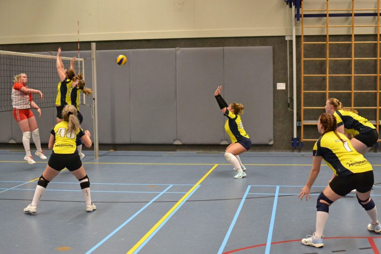 Mintonette dames 1 goed van start in derde klasse mintonette corona 