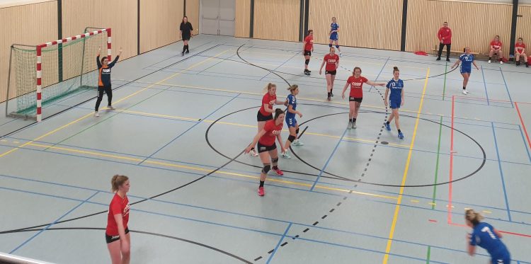 Holtense handbaldames blijven maar winnen hv holten 