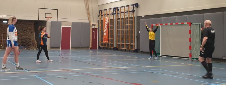 Doelpuntenfestijn bij handbaldames hv holten 