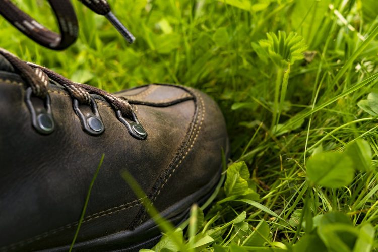 Dit is waarom jij een bezoekje zou moeten brengen aan de Holterberg sallandse heuvelrug gemeente 