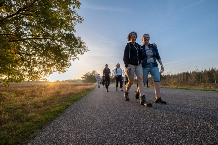 De Diepe Hel Holterbergloop sallandse heuvelrug 